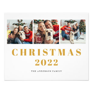 Flyer Colagem de Fotos da Família 2022 do Orçamento Nata