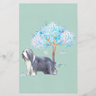 Flyer Collie