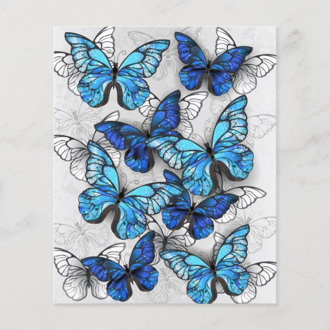 Flyer Composition of White and Blue Butterflies (Frente)