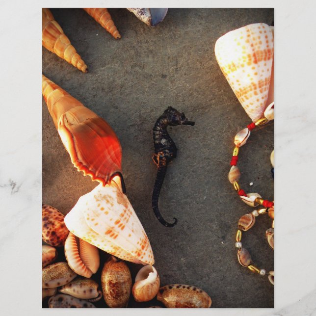 Flyer Conchas (Frente)