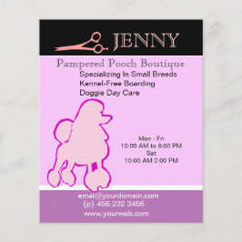 Flyer Cuidados Diários De Quintais De Pequenas Rações