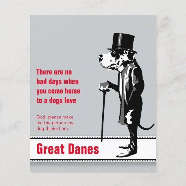 Flyer Dane Mister Alf (Verso)