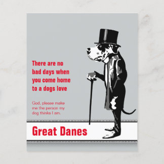 Flyer Dane Mister Alf