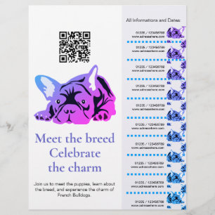 Flyer de Cachorro Bulldogue Francês Encontro & Sau