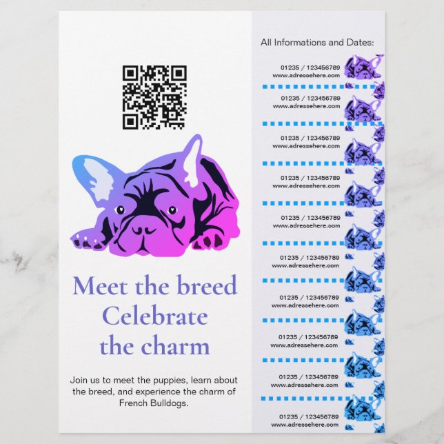 Flyer de Cachorro Bulldogue Francês Encontro & Sau (Frente)