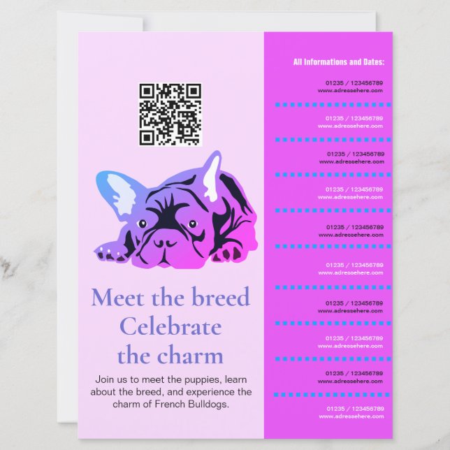 Flyer de Cachorro Bulldogue Francês Encontro & Sau (Frente)