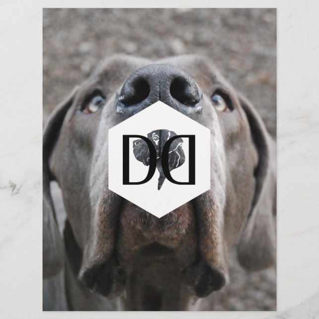 Flyer de Inventário de Criação de Dogue (Frente)