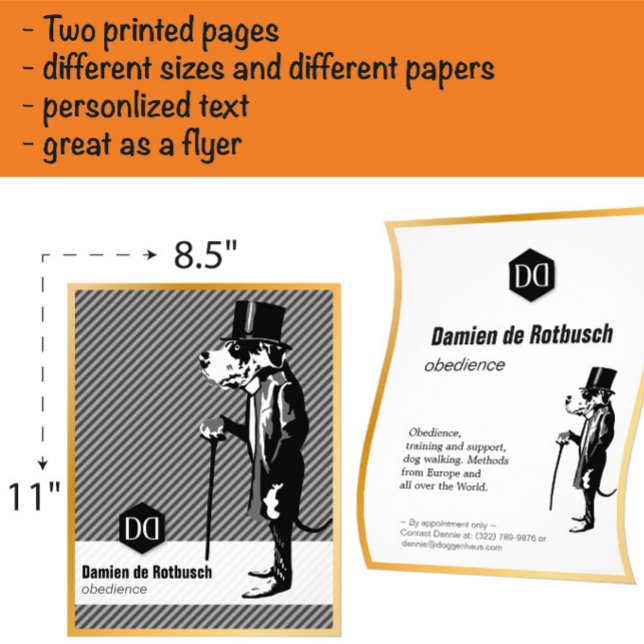Flyer de luxo com borda dourada para escolas de cã (Criador carregado)