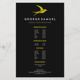 Flyer Detalhamento Automático | Logotipo de pássaro voad