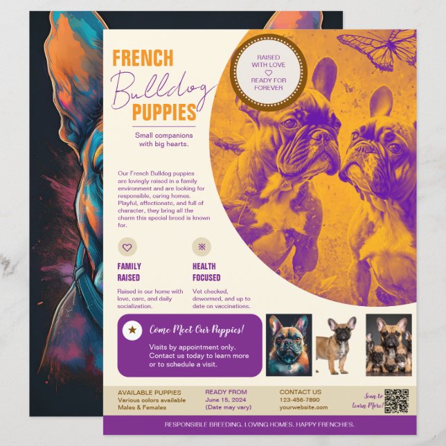 Flyer do Bulldogue Francês Roxo  (Frente/Verso)