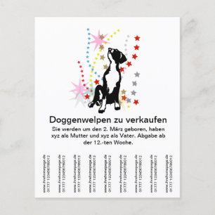 Flyer Doggenwelpen para venda?