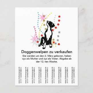 Flyer Doggenwelpen para venda?