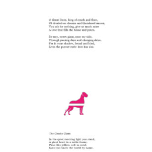 Flyer Dogue Alemão Splitter 