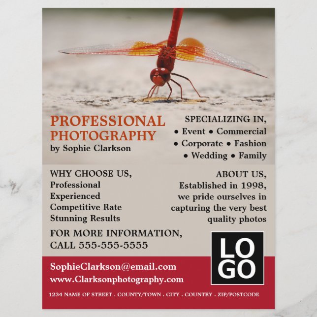 Flyer Dragonfly Vermelha, Fotografia, Aluguer Fotógrafo (Frente)