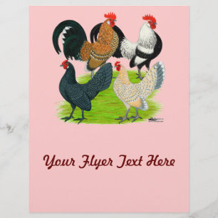 Flyer Dutch Bantam Quartet