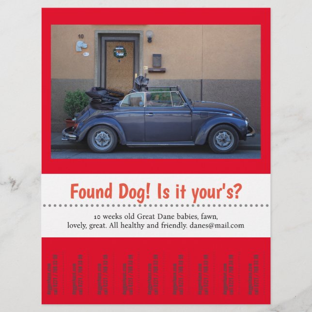 Flyer Encontrado o Cachorro Rasgar (Frente)