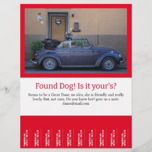 Flyer Encontrado o Cachorro Rasgar