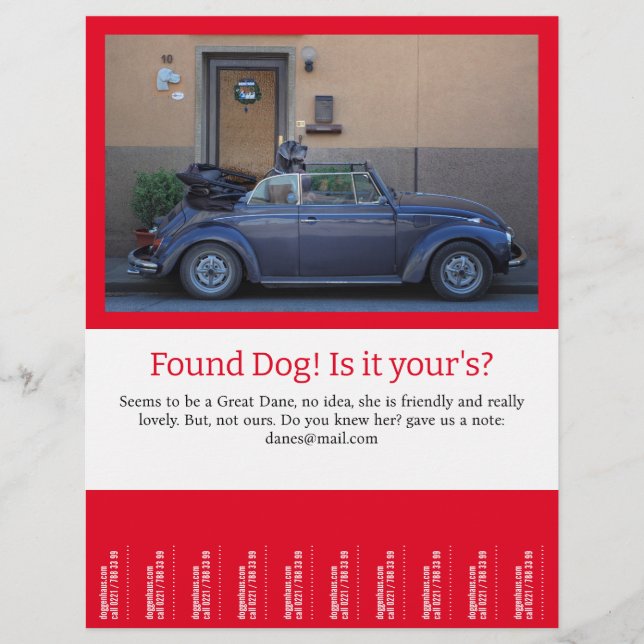 Flyer Encontrado o Cachorro Rasgar (Frente)