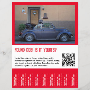 Flyer Encontrado o Cachorro Rasgar