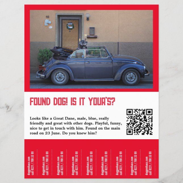 Flyer Encontrado o Cachorro Rasgar (Frente)