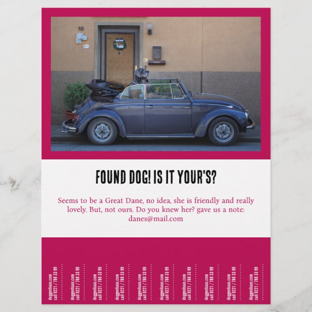 Flyer encontrou um amigo peludo (Frente)