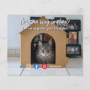 Flyer engraçada propriedade imobiliária amontoada gato v