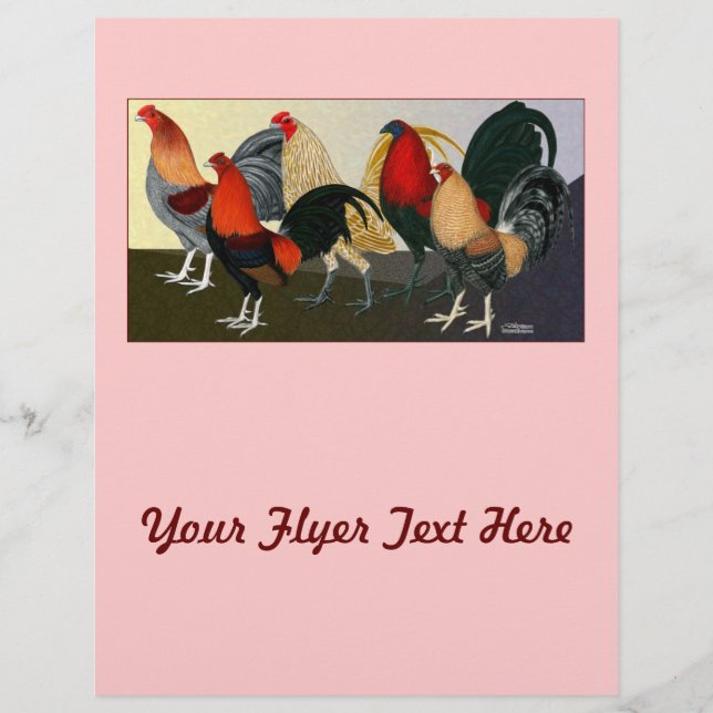 Flyer Equipe de Sonhos de Rooster (Frente)