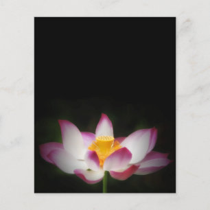 Flyer Excelente De Fotografia Lotus Flower Yoga Om Gift!