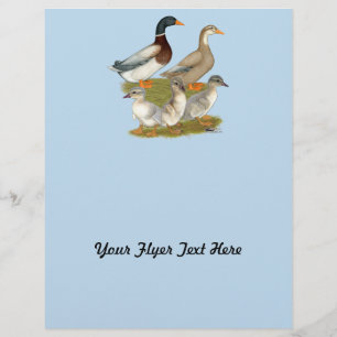 Flyer Família de Patos da Saxónia