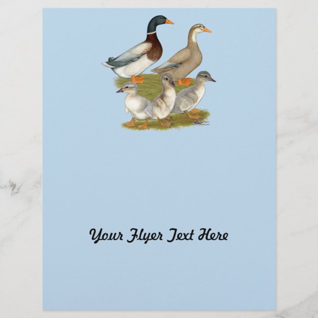 Flyer Família de Patos da Saxónia (Frente)