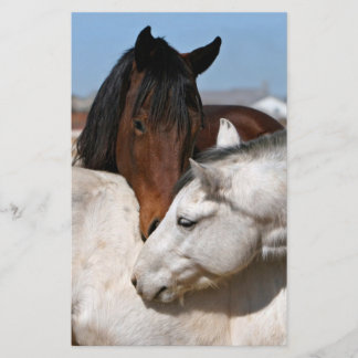 Flyer fazenda de cavalos rancho eqüino esportes ocidenta