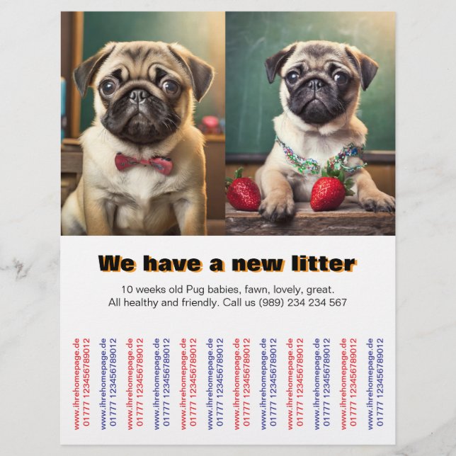 Flyer Fila de cachorros Pug Designer para vender  (Frente)