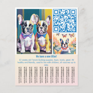 Flyer Filhote de Bulldog Francês 