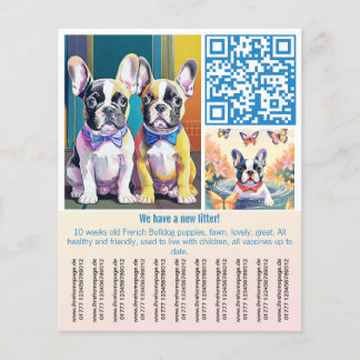 Flyer Filhote de Bulldog Francês