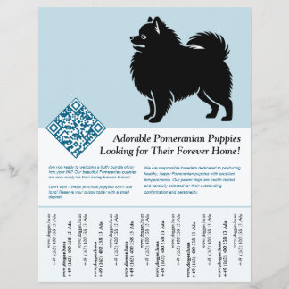 Flyer Filhotes de Pomerânia