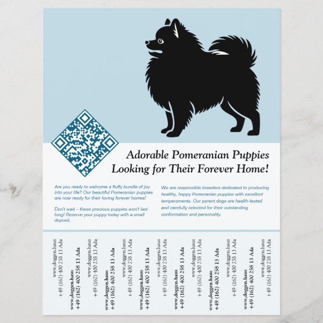 Flyer Filhotes de Pomerânia  (Frente)