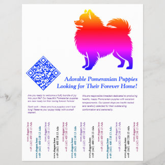 Flyer Filhotes de Pomerânia