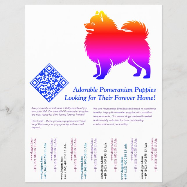 Flyer Filhotes de Pomerânia  (Frente)