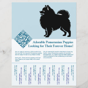 Flyer Filhotes de Pomerânia