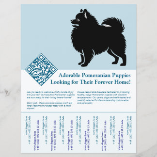 Flyer Filhotes de Pomerânia