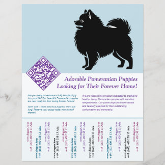 Flyer Filhotes de Pomerânia
