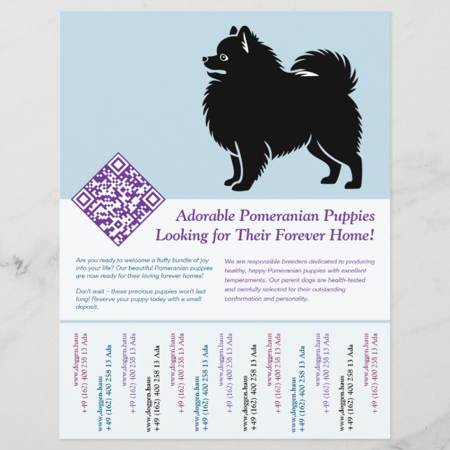 Flyer Filhotes de Pomerânia  (Frente)