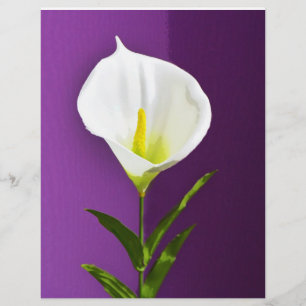 Flyer Flor de Cala Lírio