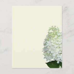 Flyer Flor de Hortênsia Branca em Papel Ecru em Branco