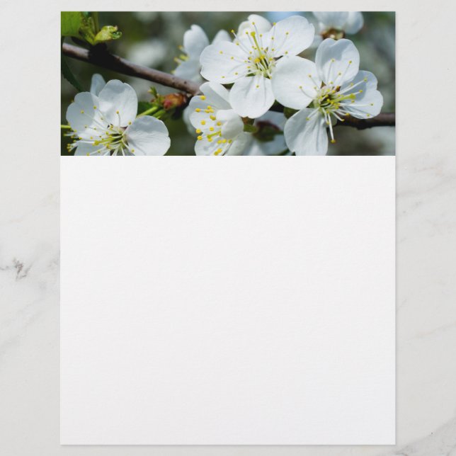 Flyer Floração de cerejeira (Frente)