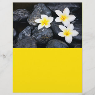 Flyer Flores brancas nas pedras pretas
