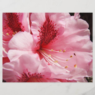 Flyer Flores de Rododendro Rosa personalizadas em papel 
