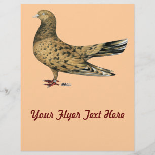 Flyer Flying Oriental Roller Pigeon Almond