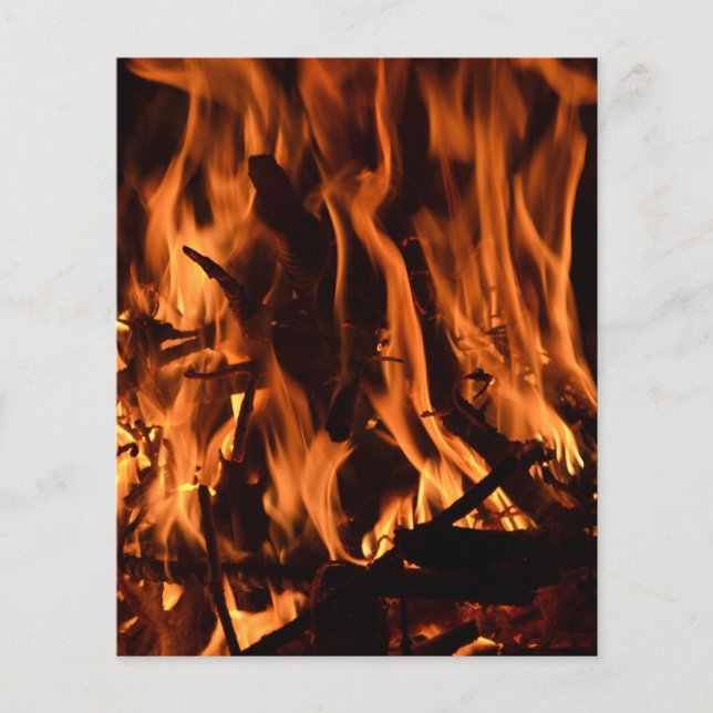 Flyer fogo-432478 madeira de fogo floresta natureza lara (Frente)