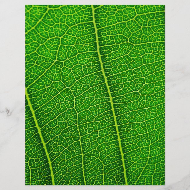 Flyer Folha (Frente)